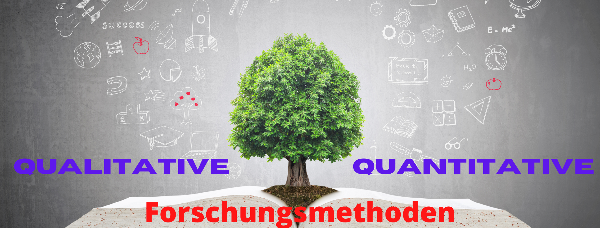 Course Image C.2. Quantitative und qualitative Forschungsmethoden 